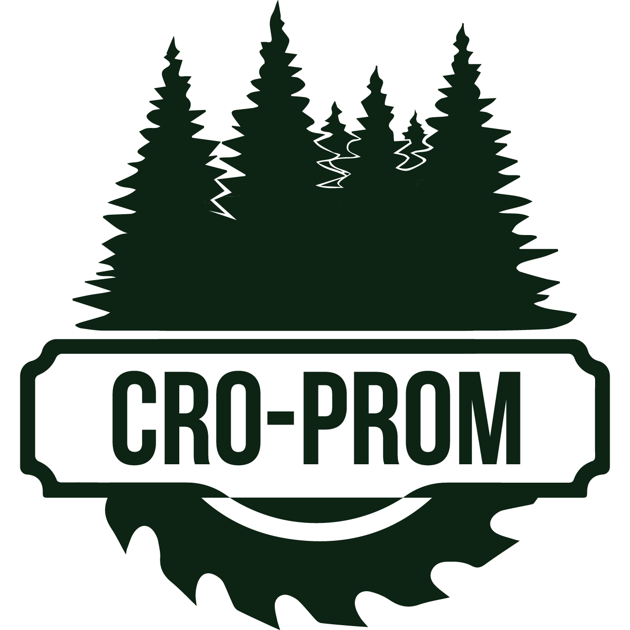 Cro Prom